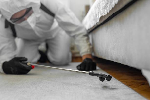 Professional Termite Control technician working in Durham, OR