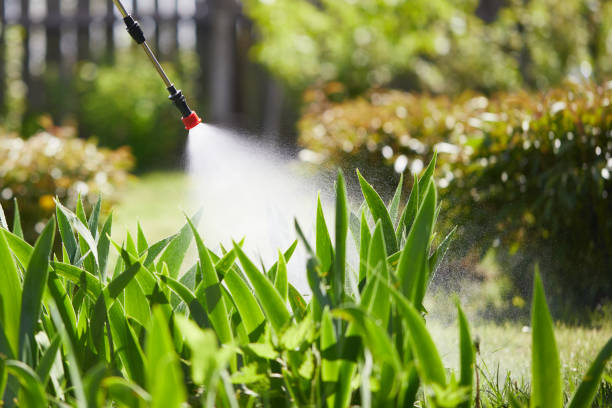 24/7 Emergency Termite Control experts in Durham, OR